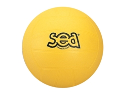 Bola de Voleibol SPORTI FRANCE Multicor (Tu)