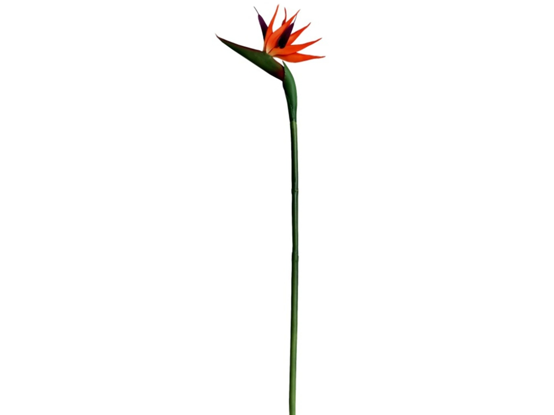 3pcs flor artificial strelitzia reginae 55cm ave do paraíso decoração casa casamento fotografia S/MARCA