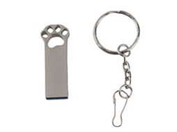 Pen Drive LAXISCREED Alta Velocidade Portátil