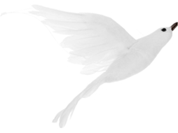 Gaivota Artificial Leve, Feita de Espuma com Aparência de Penas. Decoração Suspensa para Escritório e Casa. Figura CHABERLU