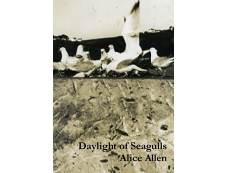 Livro Daylight of Seagulls de Alice Allen (Inglês)