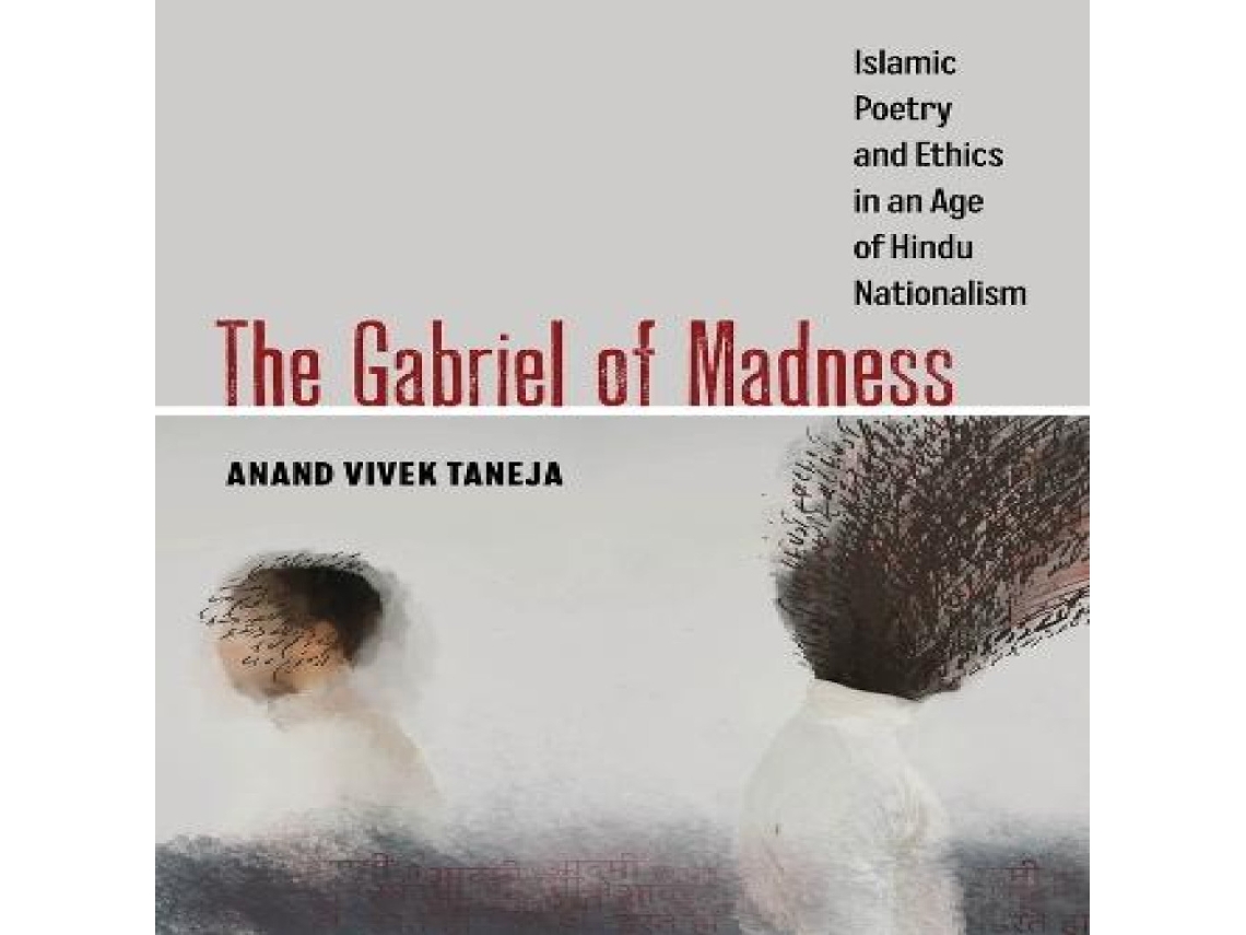 Livro Gabriel of Madness de Anand Vivek Taneja (Inglês)