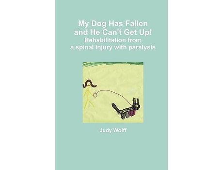 Livro My Dog Has Fallen and He Cant Get Up de Judy Wolff (Inglês)