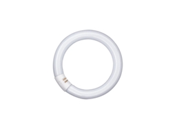 Lâmpada Lumilux T9 C 22w 865 G10q Osram