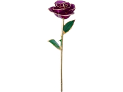 Rosa Genuína Banhada A Ouro 24 Quilates, Flor Preservada Para Sempre, Ideal Para Decoração E Present Gokoco