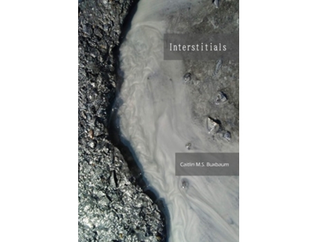 Livro Interstitials de Caitlin M S Buxbaum (Inglês)