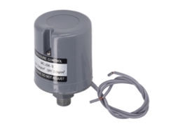 Laxiscreed Bomba De Água 1/4” Com Interruptor De Pressão E Controle Mecânico Automático