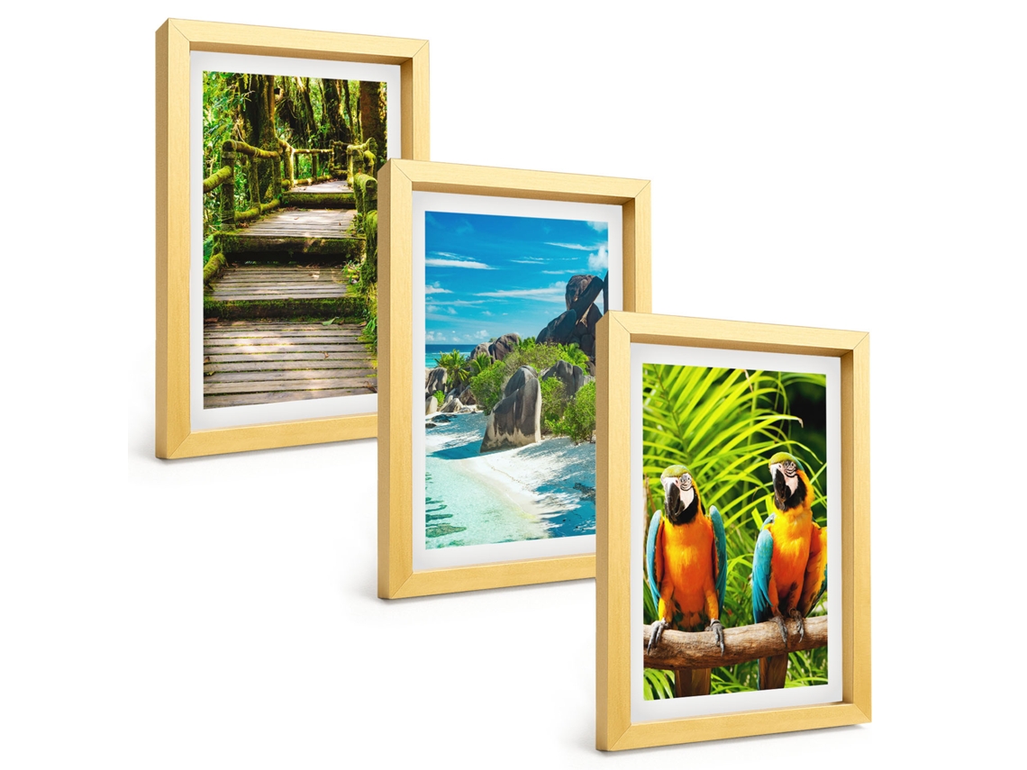 Composição De Quadros Floresta Tropical, Cachoeira, Papagaios Espelharte (3 Peças 20x30 Cm)