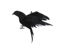 Laxiscreed Corvo Artificial Para Decoração De Halloween Com Asas Estendidas