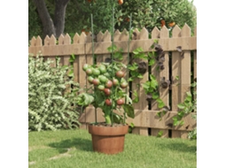 Vidaxl Suportes P/ Plantas De Jardim C/ 3 Anéis 5 Pcs 60 Cm Aço Verde