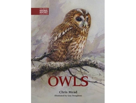 Livro Owls de Chris Mead (Inglês)