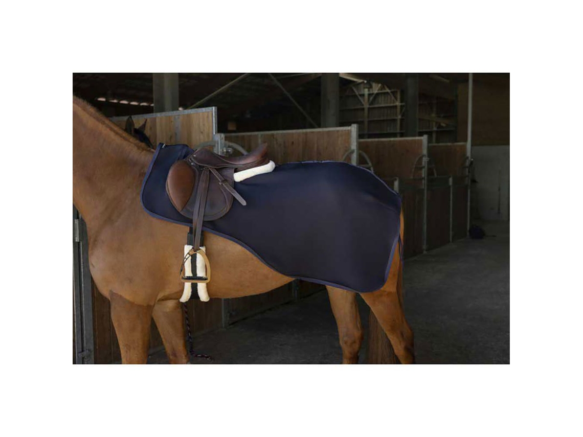 Tapete de Exercício Teddy Softshell Azul 125 Cmequitheme