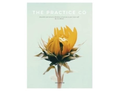 Livro The Practice Co - Volume Three Liz Milani (Inglês)