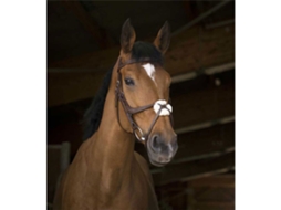 Cabresto com Focinheira Crossed Castanho Cobnorton Equestrian