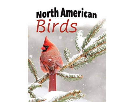 Livro North American Birds ExtraLarge Print With Names For Adults With Dementia and Other Life Challenges de Lasting Happiness (Inglês)