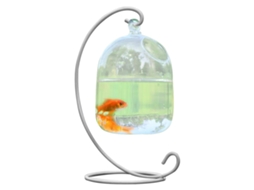 Vaso De Vidro Suspenso Para Peixes Com Suporte De Ferro Branco