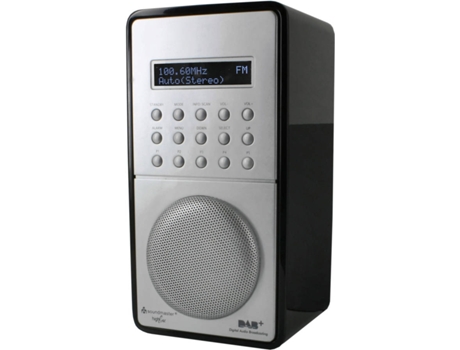 Rádio SOUNDMASTER DAB100SW