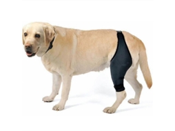 Joelheiras Para Cães Com Lca, Luxação Patelar E Artrite Mantém O Gel Aquecido Suporte Extra Reduz A Dor Aquaforge