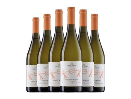 Vinho branco COLLI DEL SOLIGO Pinot Cinza Delle Venezie (0.75 L - 6 Unidades)