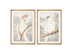 Quadro DKD HOME DECOR Parrot (50 x 2 x 70 cm)