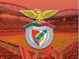 Pack Presente Odisseias - Sport Lisboa e Benfica | Bilhetes para o Estádio + Cachecóis