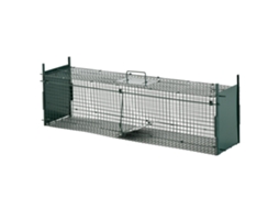 Barraca de Camping BISBISOUS para 4 pessoas com 2 áreas e bolsa 430x240x170cm