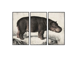 Tela DKD HOME DECOR (Tecido - Multicor)