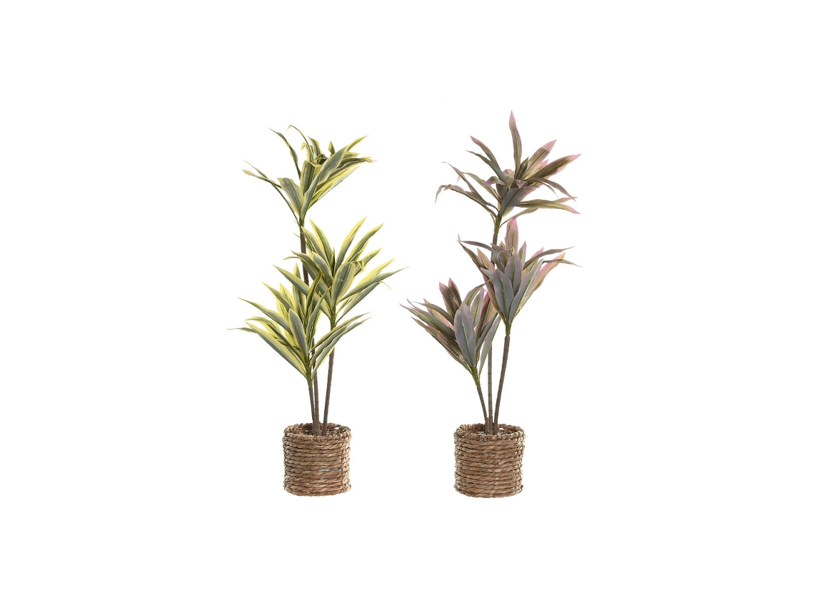 Planta Decorativa Home Esprit Polietileno Fibra 30 X 30 X 75 Cm (2 Unidades)