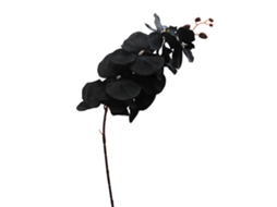 Laxiscreed Orquídea Phalaenopsis De Seda Com Fio De Ferro Para Decoração Elegante