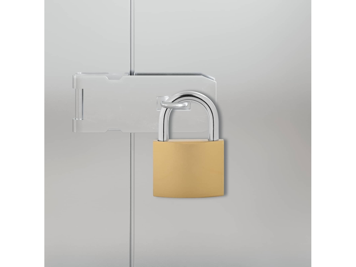 Vidaxl U Lock Com Chaves 12 Unid. Latão Ferro
