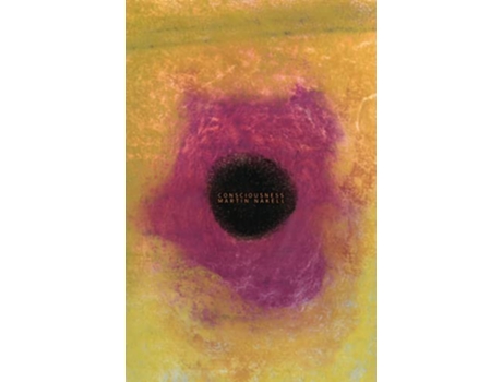 Livro consciousness de Martin Nakell (Inglês)