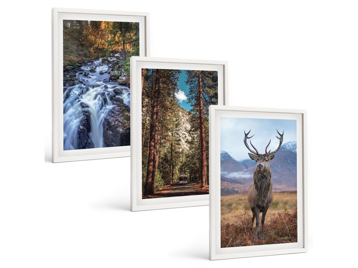 Galeria De Pinturas Murais Cachoeira, Floresta, Montanhas, Veado Natureza Moldura Branca Quadros Para O Escritório Espelharte (3 Piezas De 40x60 Cm)