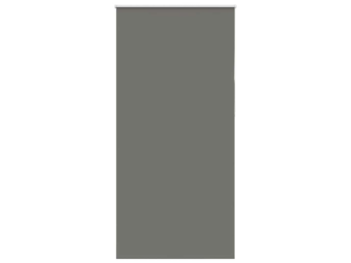 Roller Blind, Roller Blinds Vidaxl Cinzeto Poliéster (n/a)