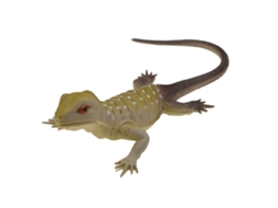 Mali brinquedo de Lagarto Realista com Som de Apito Squeeze para Brincadeira e Relaxamento Pvc Cinza