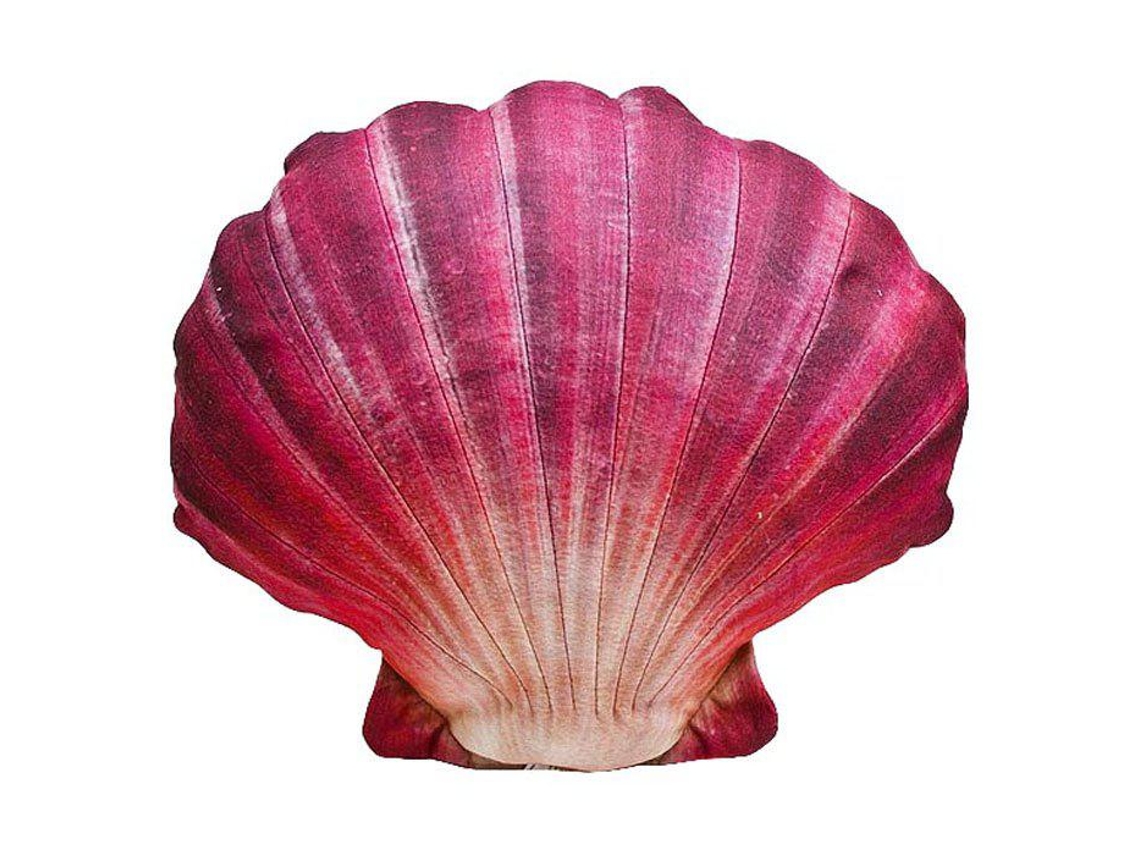 GABY The Scallop Medium