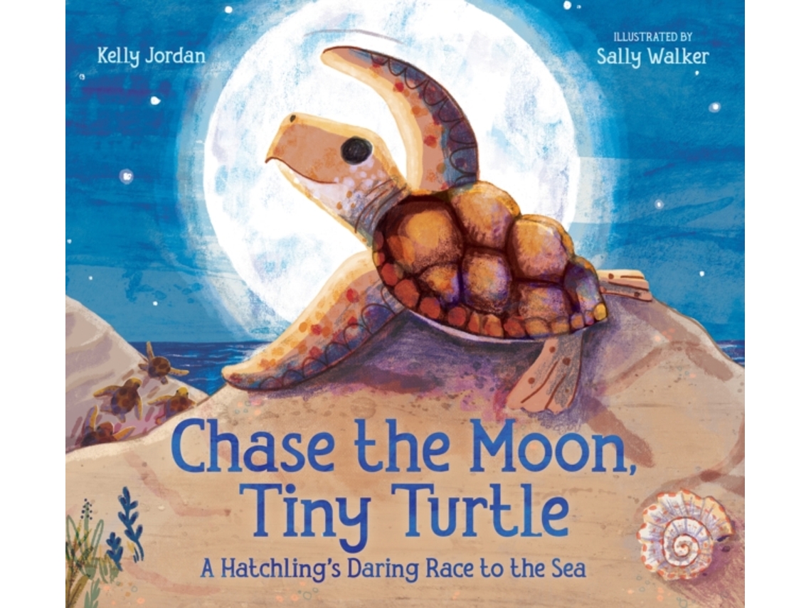 Livro Chase the Moon, Tiny Turtle de Kelly Jordan (Inglês - Capa Dura)