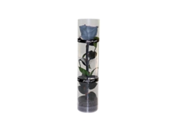 Omni rosa Preservada Real, Rosa Eterna com Caule e Folhas Reais, Flor Duradoura para Presente Azul Grisáceo