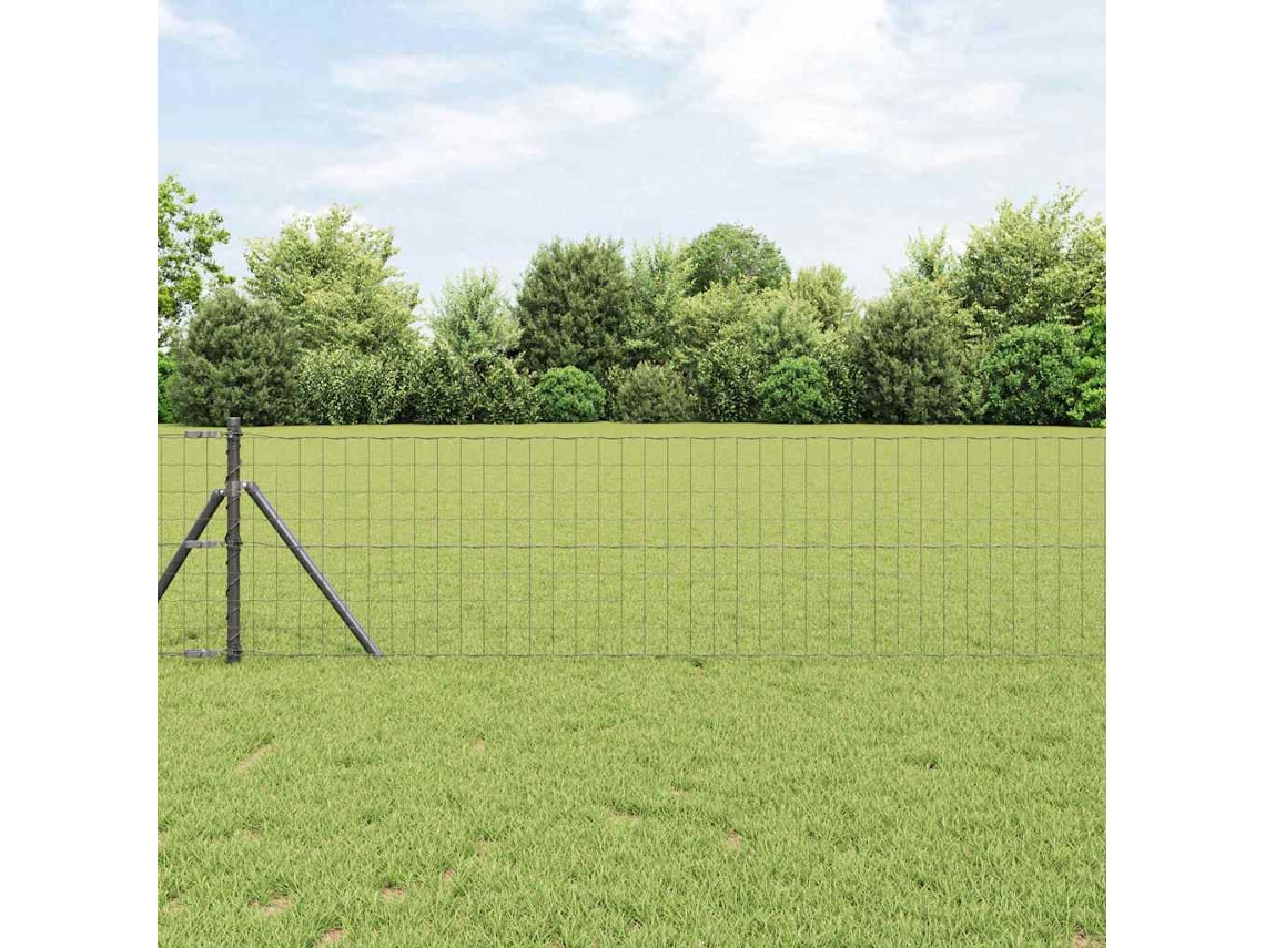 Vidaxl Cerca Euro 0,6 X 10 M Ferro Revestido De Pvc Cinzento