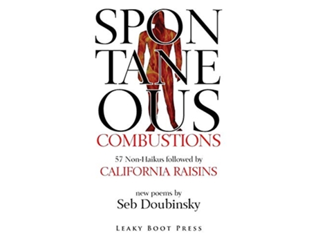 Livro Spontaneous Combustions de Seb Doubinsky (Inglês)