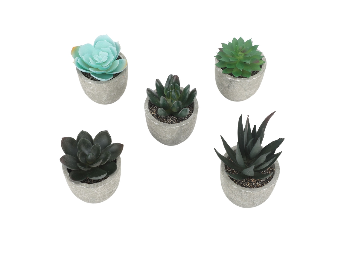 5 Peças De Plantas Suculentas Artificiais Em Vasos Mini
