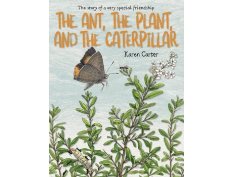 Livro The Ant, the Plant, and the Caterpillar de Carter, Karen et al. (Inglês)