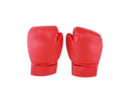 Business luvas de Boxe para Treino e Luta com Proteção de Punho | S/MARCA