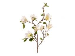 Ramos de Magnólia Branca de 100cm com Fio de Ferro, Ideal para Decoração LAXISCREED
