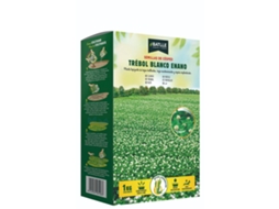 Sementes De Trevo Anão Branco Repens 1 Kg