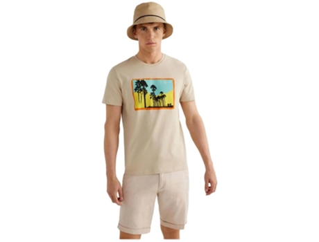 T-Shirt de Homem JACKJONES Corta Bege (XL)