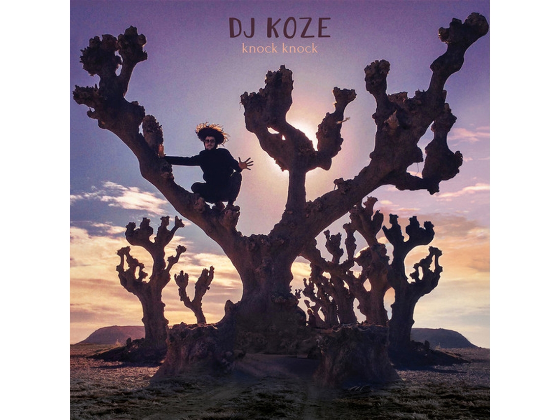 Vinil DJ Koze - Knock Knock