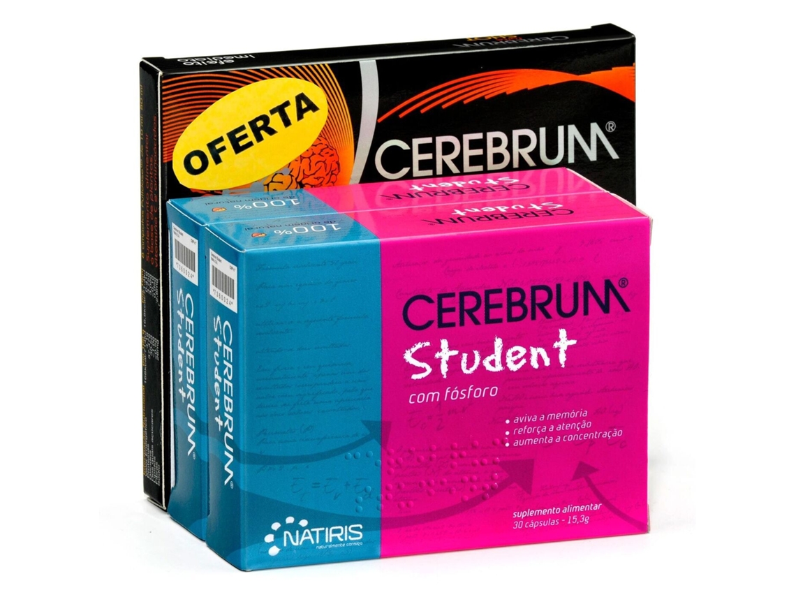 CEREBRUM StudentCerebrum Shott 8