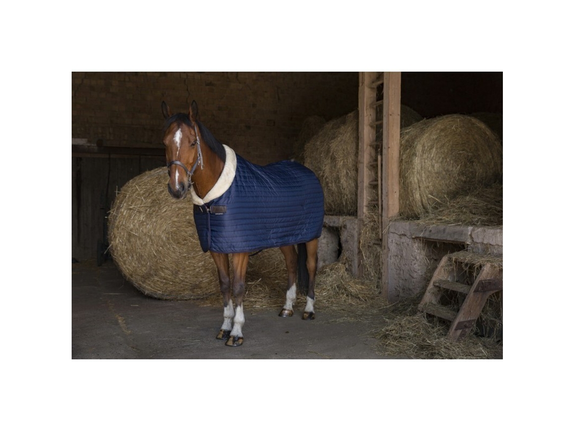 Manta para cavalos Equithème Teddy 0g