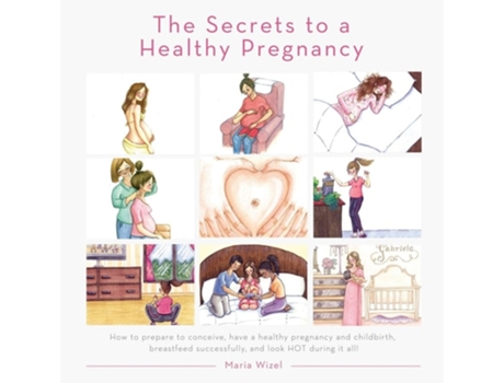 Livro The Secrets To A Healthy Pregnancy De Maria Wizel (inglês)