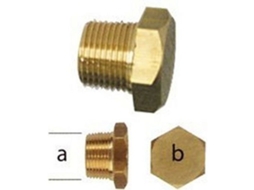 Plugue Do Ânodo Yanmar Ten01318Tp Douradotecnoseal